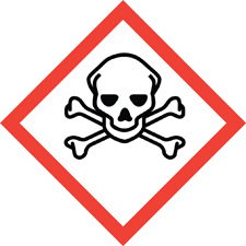 Skull Crossbones_symbol