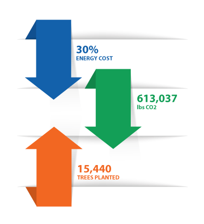 Seacole Solar Array Infographic