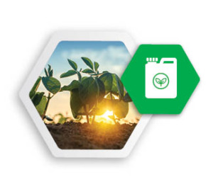 Seacole Hex Icon Stbiologicals Agriculture